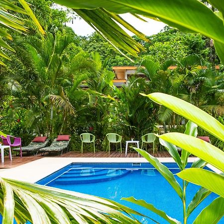 La Paz Del Caribe Adults Only Panzió Puerto Viejo de Talamanca Kültér fotó