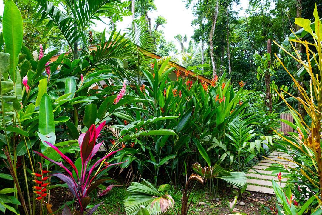 La Paz Del Caribe Adults Only Panzió Puerto Viejo de Talamanca Kültér fotó