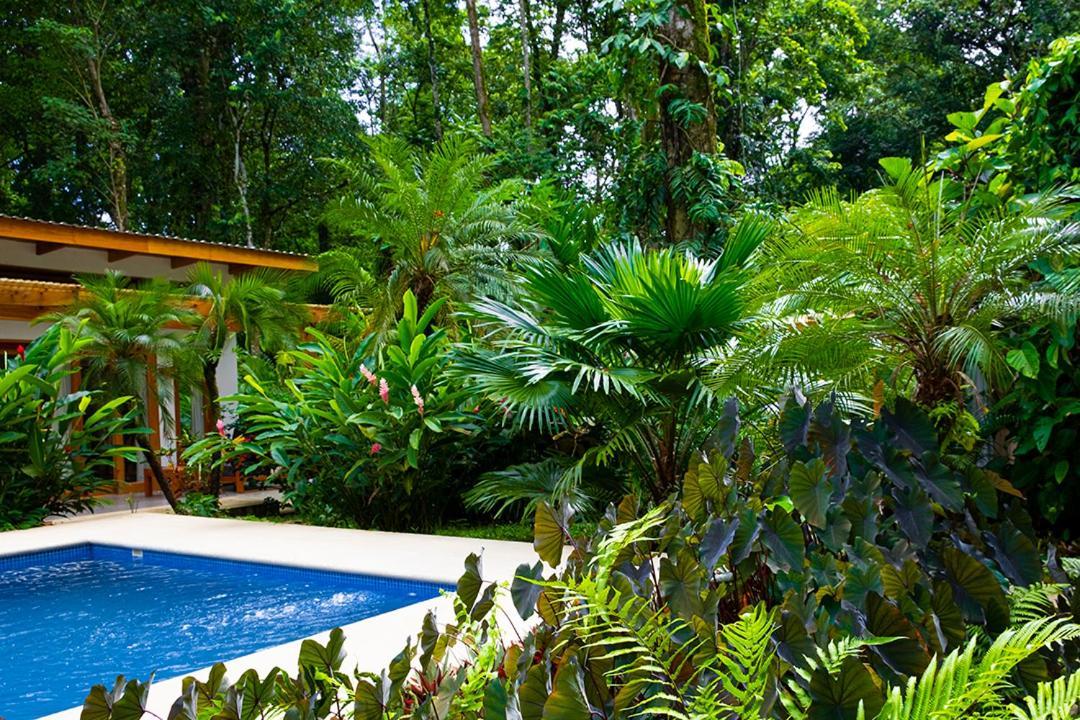 La Paz Del Caribe Adults Only Panzió Puerto Viejo de Talamanca Kültér fotó