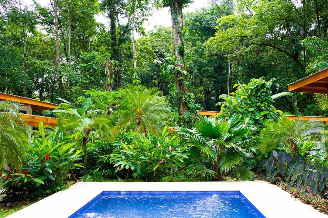 La Paz Del Caribe Adults Only Panzió Puerto Viejo de Talamanca Kültér fotó