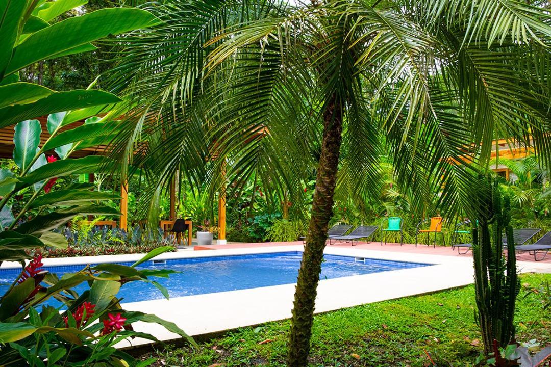 La Paz Del Caribe Adults Only Panzió Puerto Viejo de Talamanca Kültér fotó