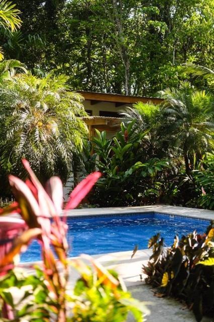 La Paz Del Caribe Adults Only Panzió Puerto Viejo de Talamanca Kültér fotó