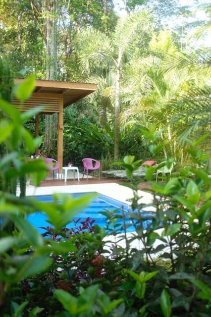 La Paz Del Caribe Adults Only Panzió Puerto Viejo de Talamanca Kültér fotó