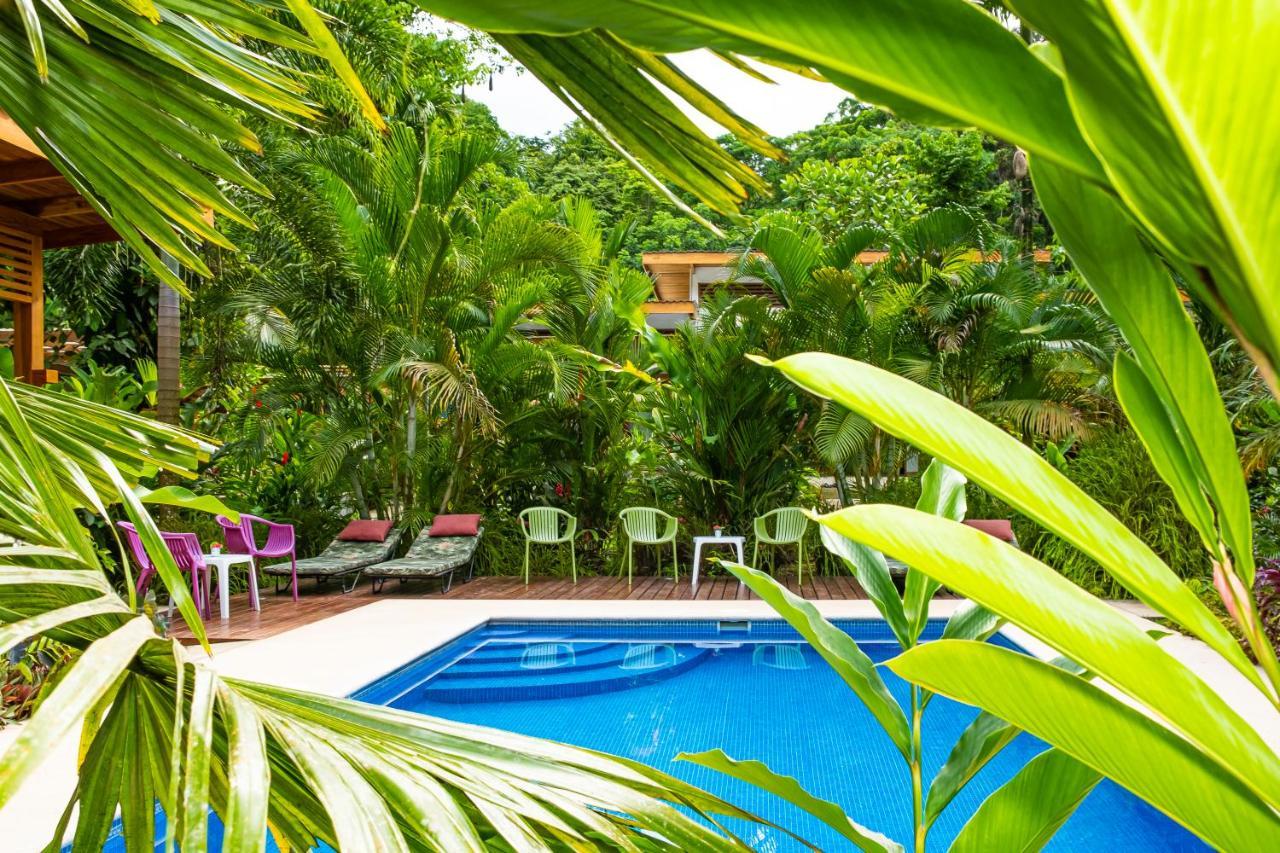 La Paz Del Caribe Adults Only Panzió Puerto Viejo de Talamanca Kültér fotó