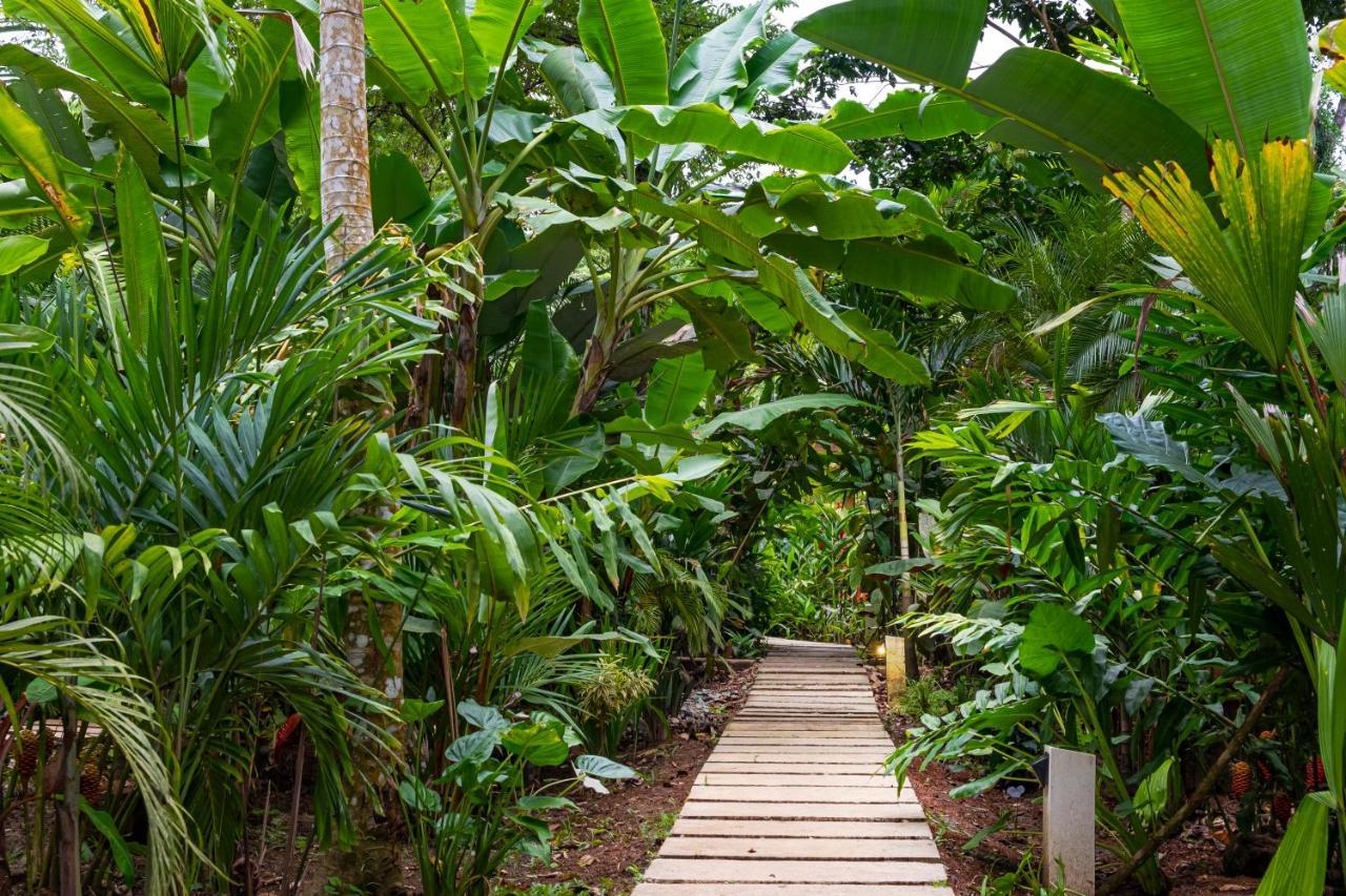 La Paz Del Caribe Adults Only Panzió Puerto Viejo de Talamanca Kültér fotó