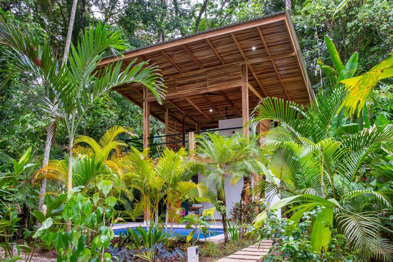 La Paz Del Caribe Adults Only Panzió Puerto Viejo de Talamanca Kültér fotó